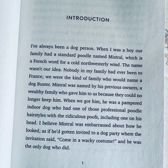 “Lessons from Lucy” Soft Cover Book by Dave Barry - Picture 5 of 9